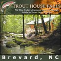 Trout House Falls Secluded Waterfall Cabin in The BlueRidge Mountains